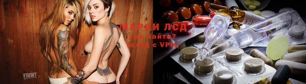 винт Аркадак