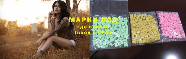 прущие грибы Армянск