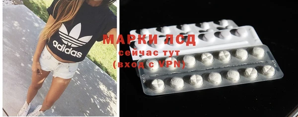прущие грибы Армянск