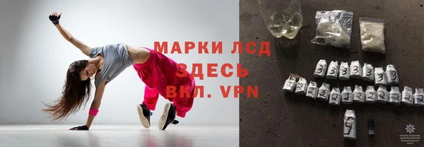 прущие грибы Армянск