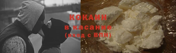 СК Дубна