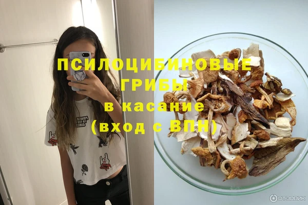 винт Аркадак