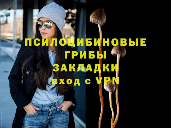 МДПВ Арсеньев
