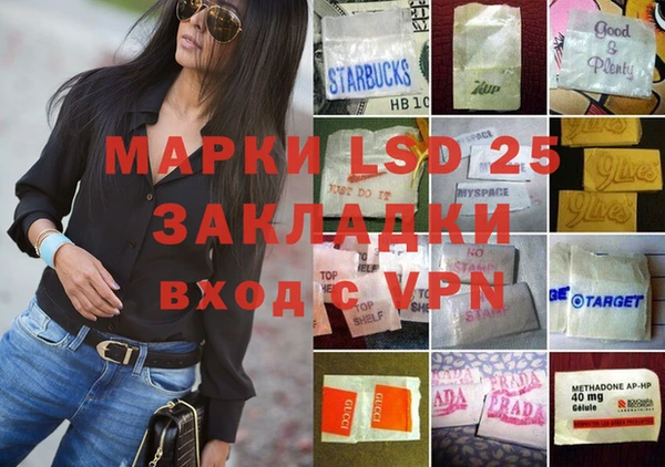 прущие грибы Армянск