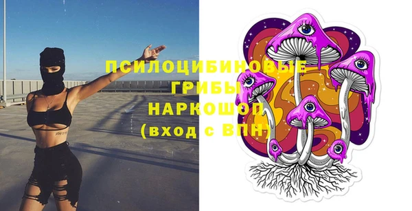 винт Аркадак
