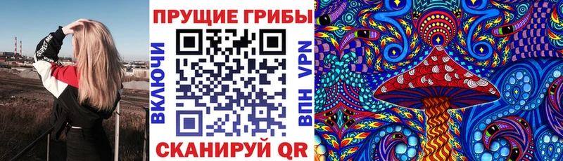 Галлюциногенные грибы мицелий  darknet официальный сайт  Саки 